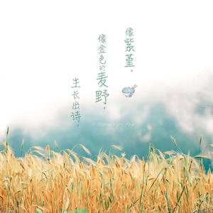 亚洲男人a天堂在线2184
